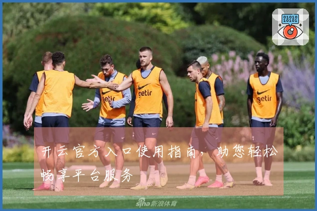 开云官方入口使用指南，助您轻松畅享平台服务